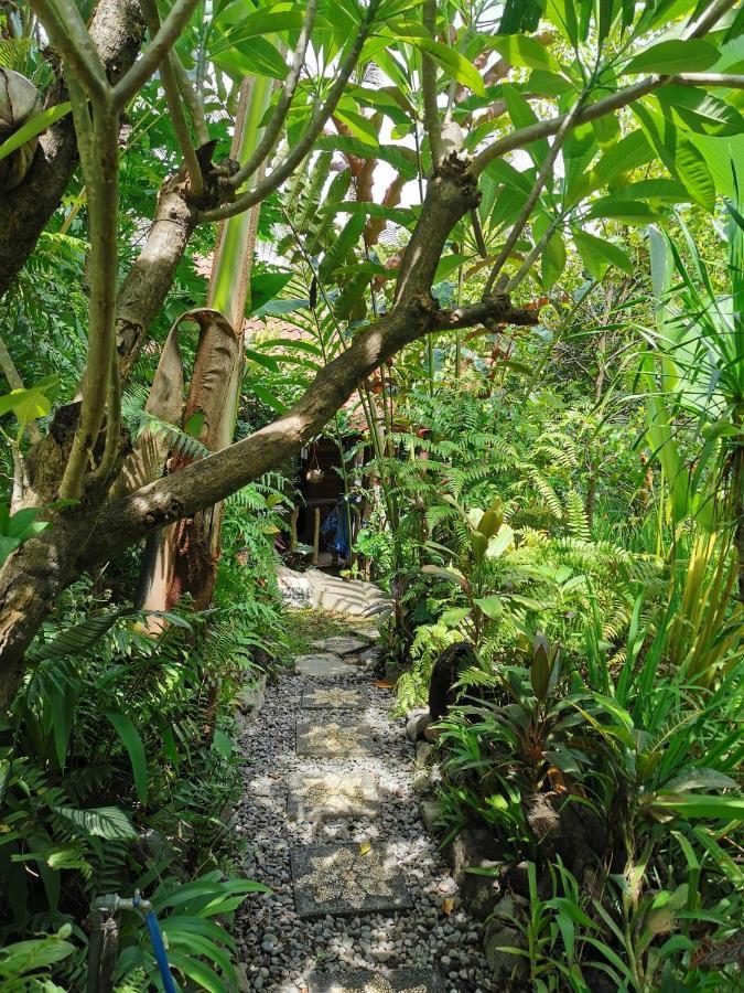 Les Garden Villa Tejakula Ngoại thất bức ảnh