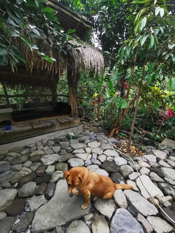Les Garden Villa Tejakula Ngoại thất bức ảnh