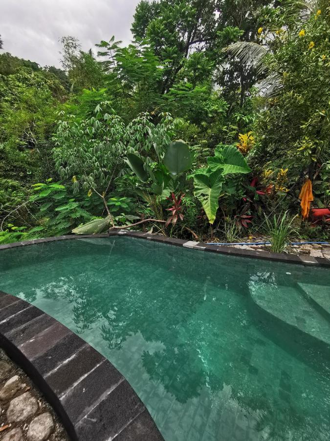 Les Garden Villa Tejakula Ngoại thất bức ảnh