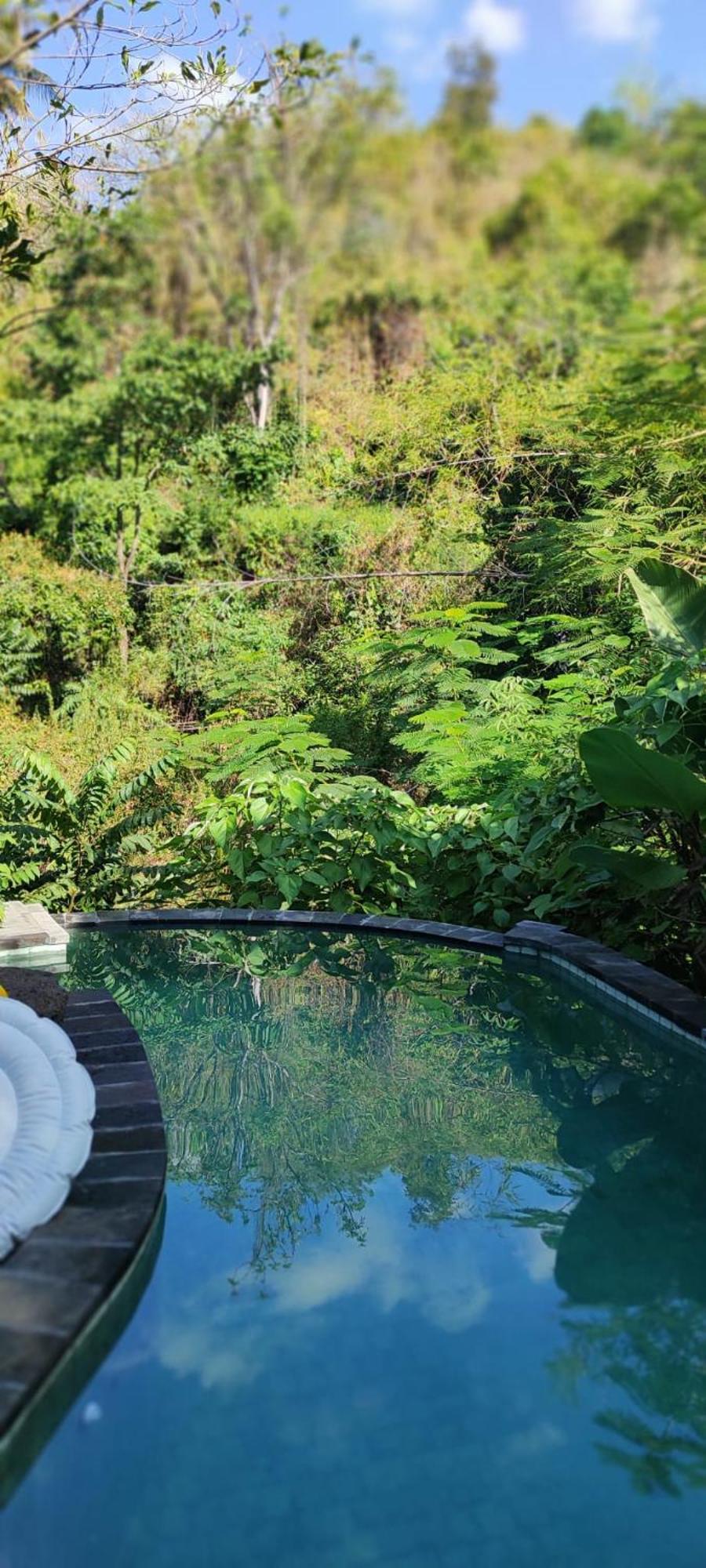Les Garden Villa Tejakula Ngoại thất bức ảnh