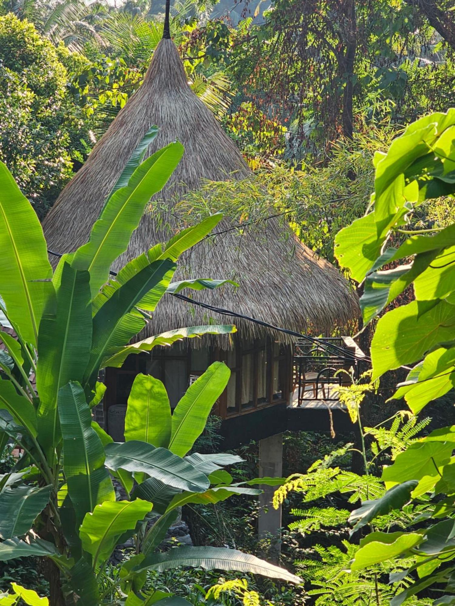 Les Garden Villa Tejakula Ngoại thất bức ảnh