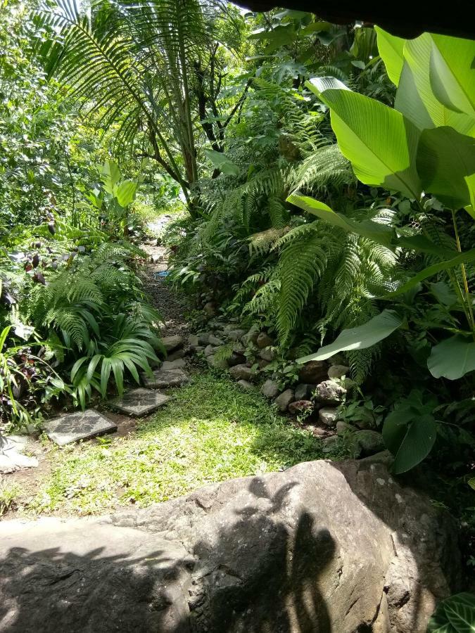 Les Garden Villa Tejakula Ngoại thất bức ảnh