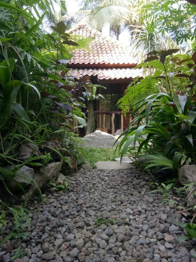 Les Garden Villa Tejakula Ngoại thất bức ảnh