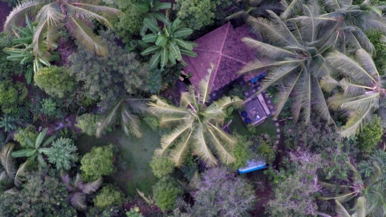 Les Garden Villa Tejakula Ngoại thất bức ảnh